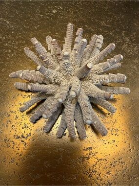 Tzuri Gueta Paris Rubber Sea Urchin Brooch and Matching Wrap Bracelet